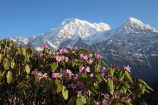 Best Trek in Nepal